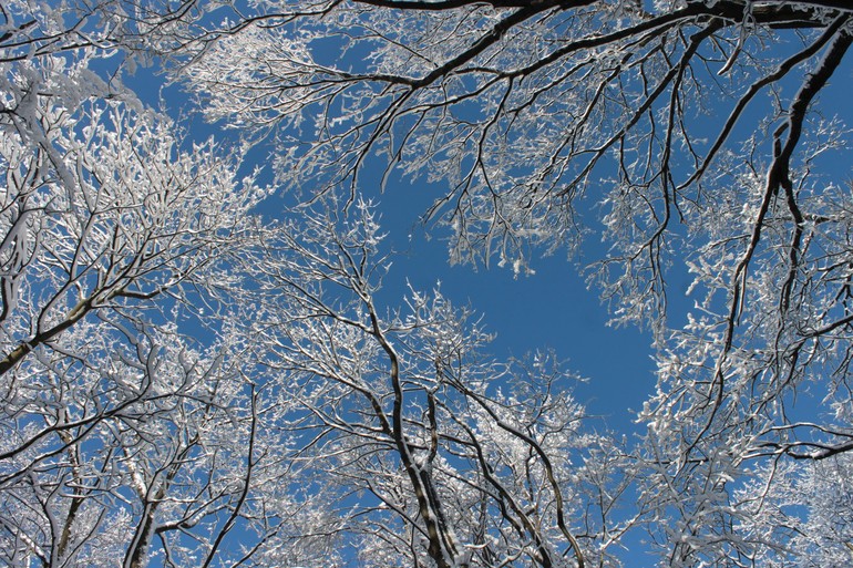 Méditation hiver