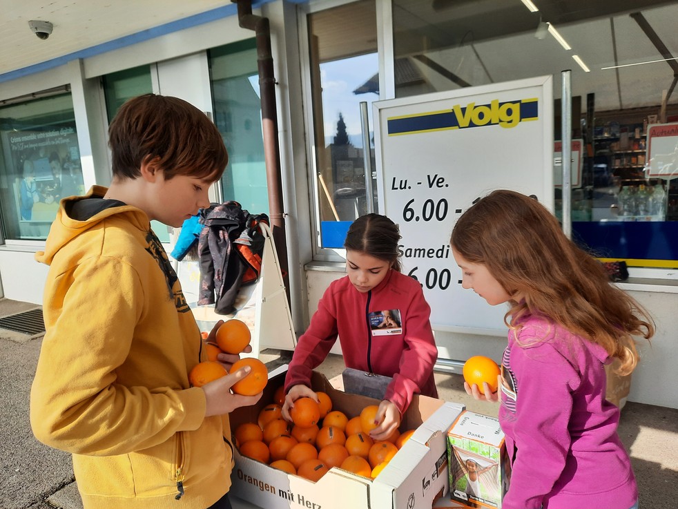 Vente oranges 2024